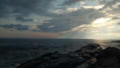 Bar L'angolo Del Caffè