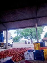 braj sweets and namkeen corner