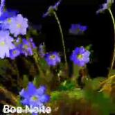 Casa de Salgados Novo Sabor