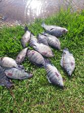 Pesqueiro São José