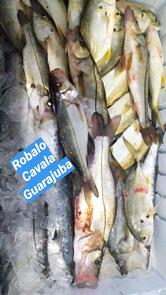 Arpão Alimentos do Mar