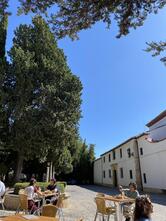 cerveceria Marbella