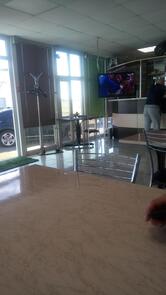 Gruzinskoye Kafe