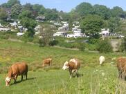Kaløvig Strandgård Camping of Djursland, East Jutland