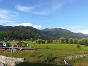 Paper Planes Cafe & Restaurant