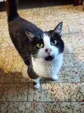 Ristorante Cinese Città D'oro