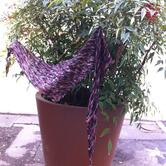 Du Thé et Des Laines