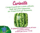 Fruit Bar La Cartiera - Pompei