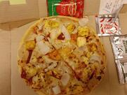 Domino's Pizza Shanti Nagar, Katni