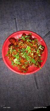 વિજય ચાઇનીઝ ધર્મજ