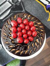 Riddhi Siddhi Bakers ranchi