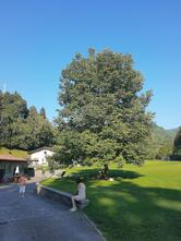 Agriturismo PratoAlto