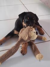 Casa do Felipe e Lucas