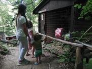 Turizem in druge storitve, Goran Knežević s.p.