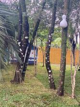 Quintal Brincante - Gastronomia