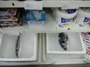 Apartmani - Restoran Ribarica