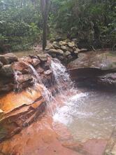 Ninho Verde 2 + LC 04