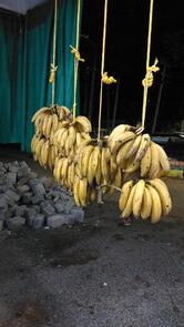 Green Garden Restaurant