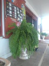 Panificadora São José