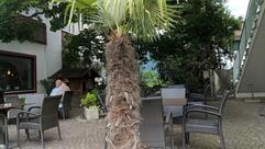 Café Cocktailbar Kuntner