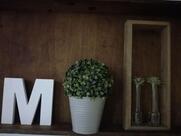 Ristorante Vecchio Mulino