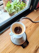 The Rubiaceae Coffee Brewers