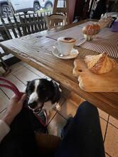 Bar Da Michele S.N.C. Di Toffoli Katia & C.