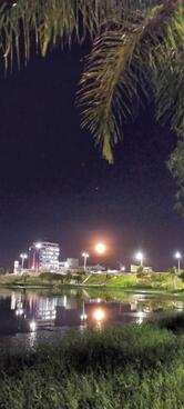 Pizzaria delivery Papa léguas