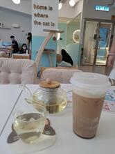 Cats Tea Room Mong Kok