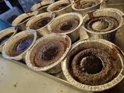 Sri Lakshmi Janardhana Bakery