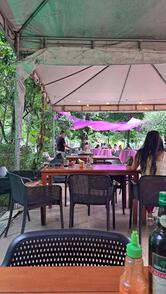 Samadhi Gastronomia Conceito