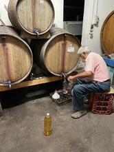 Casa Vinicola Pappalardo