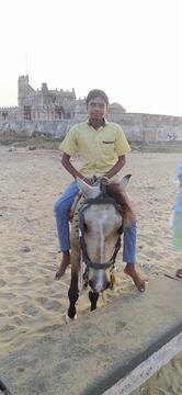 Sri kathai amman flower shop.poombuhar.tharumakulam.iob bank near.ar.sirkali.tk