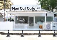 คาเฟ่แมวโมริ Mori Cat Cafe’