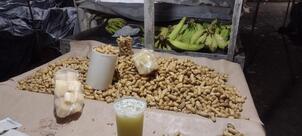 Hotel Pousada Chalana