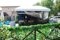 Gelateria Caffetteria Ory Bar