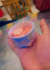 Dream Cream Natural and Live ice-cream