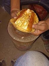 ઠાકોર આમલેટ સેન્ટર