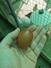 Baldassarri Massimo E Rossi Davide S.N.C.