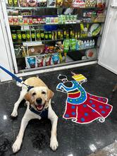 P P Shah baking supply