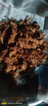 Delicious Tiffin Centre రుచికరమైన టిఫిన్ సెంటర్