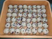 Chaitanya Caterers Powered by