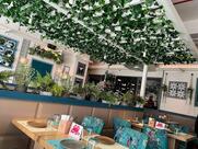 Laidback Cafe - DLF CyberHub