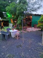 Traffic the Jungle Cafe