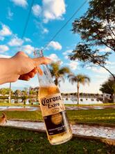 PESQUE PAGUE GRIBLER