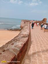 Veggi Table Pure Veg Restaurant