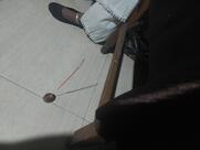 Restaurant Sunshine Rooftop