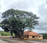 Restaurante Tia Rose