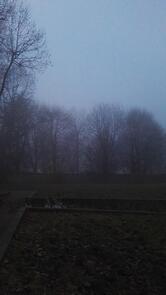 Pasticceria Bar Rosticceria Da Busa Mari