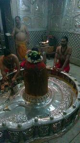 Shree Mahakaal Tea Stall